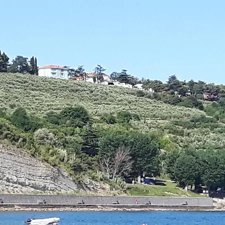 Laguna 20, 20a Апартаменты *