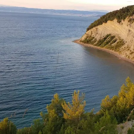 Laguna 20, 20a * Izola