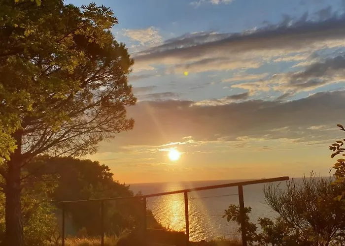 Laguna 20, 20a Izola