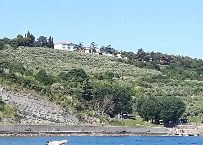 Laguna 20, 20a Appartement *