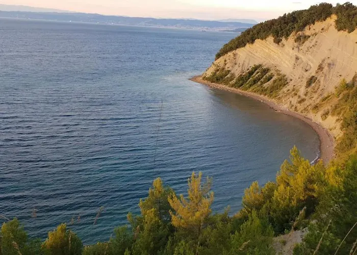 Laguna 20, 20a * Izola